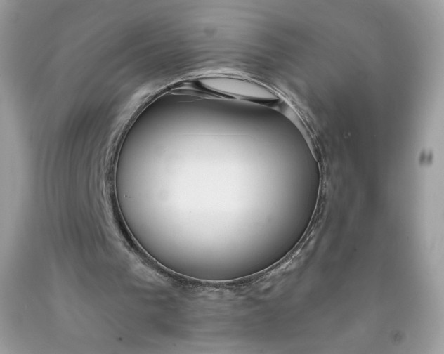 X0000091700193200709141106