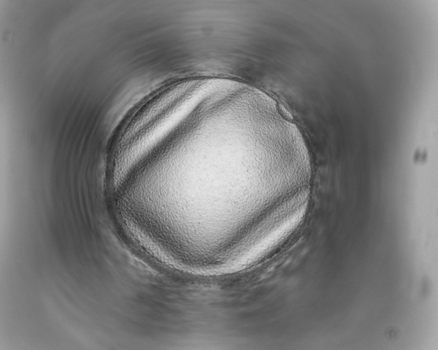 X0000091700194200709141106