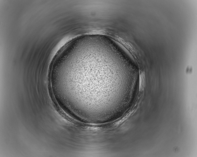 X0000091700195200709141106