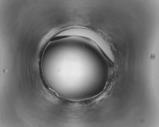 X0000091700197200709141106