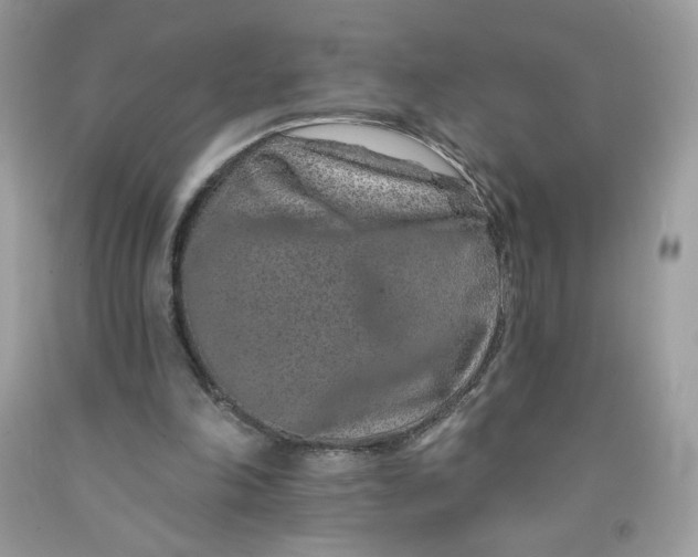 X0000091700198200709141106