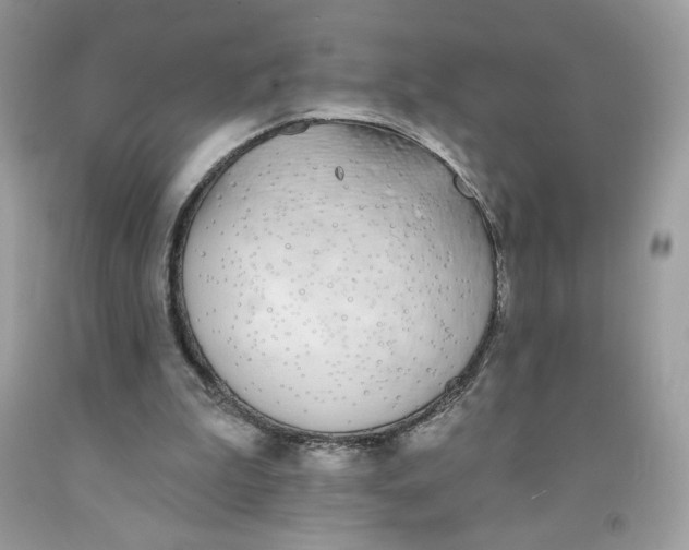 X0000091700199200709141106