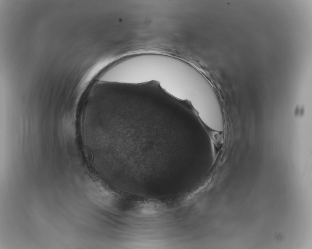 X0000091700200200709141106