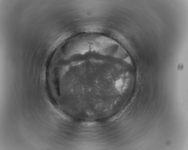 X0000091700202200709141106