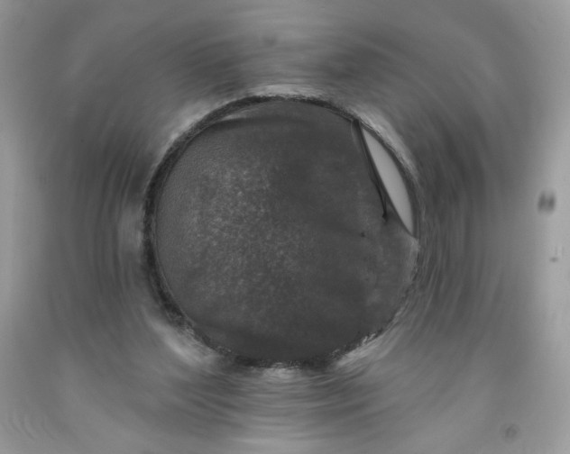 X0000091700204200709141106