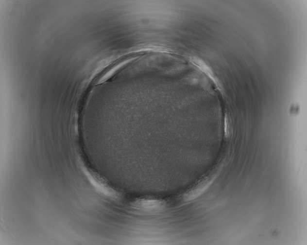 X0000091700205200709141106