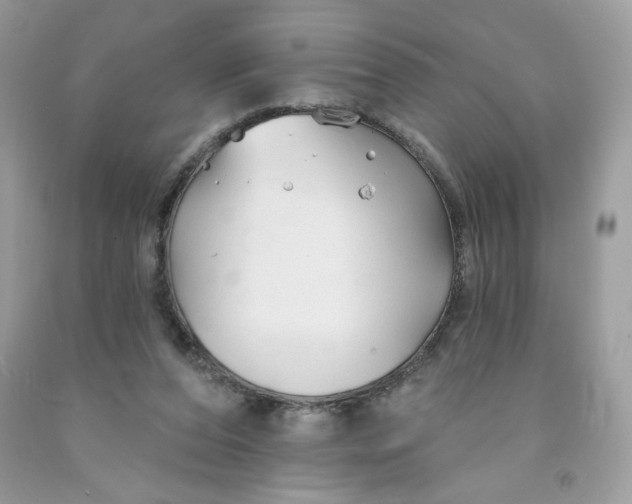 X0000091700208200709141106