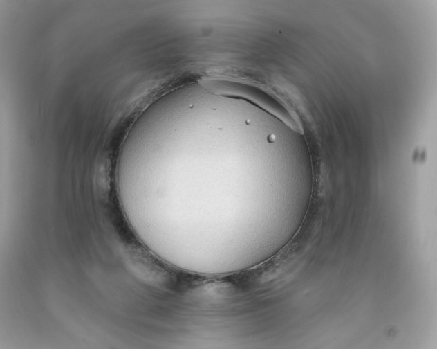 X0000091700210200709141106