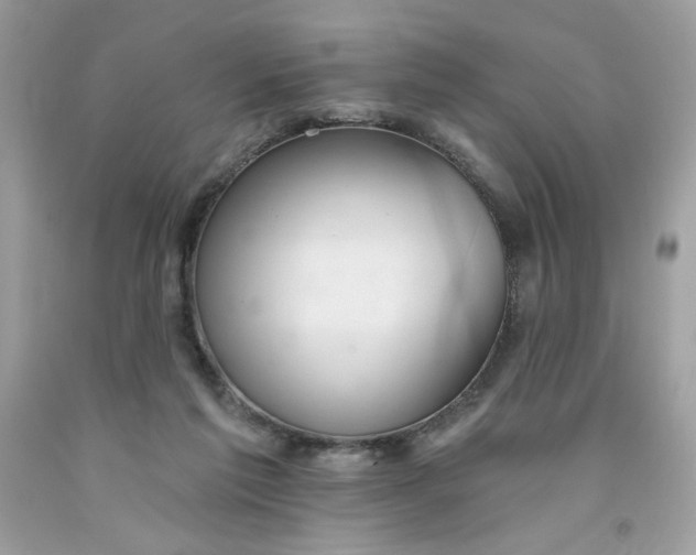 X0000091700213200709141106