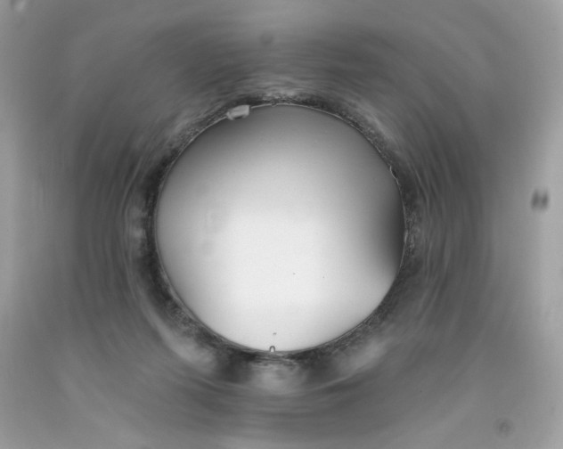 X0000091700215200709141106