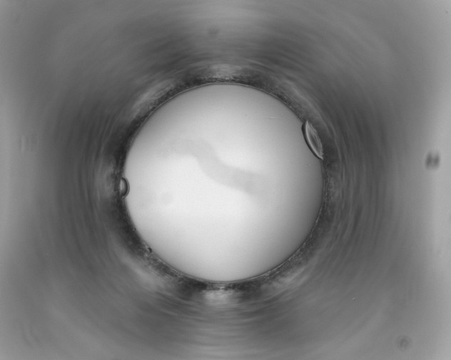 X0000091700216200709141106