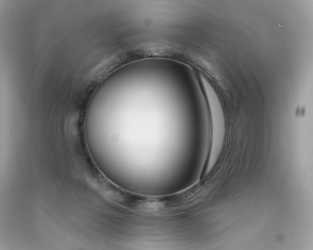 X0000091700217200709141106