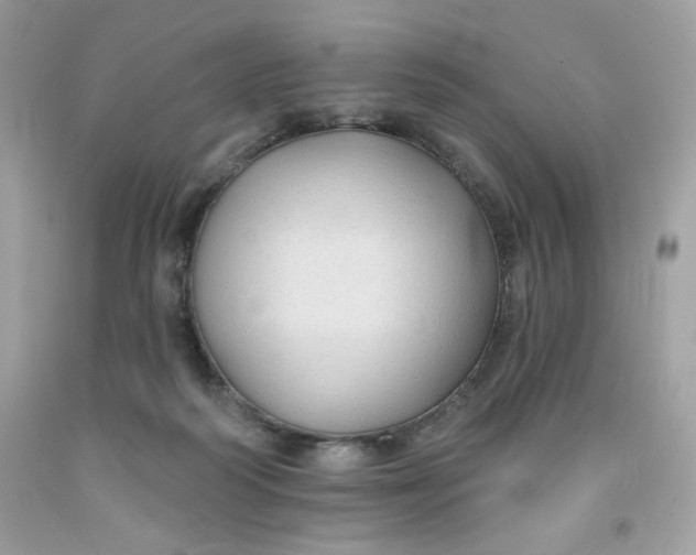 X0000091700218200709141106