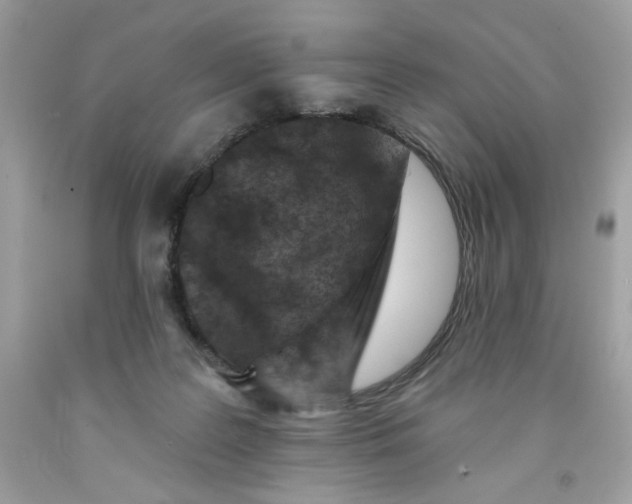 X0000091700219200709141106