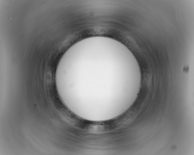 X0000091700220200709141106