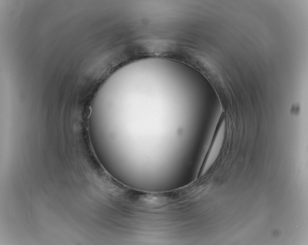 X0000091700221200709141106