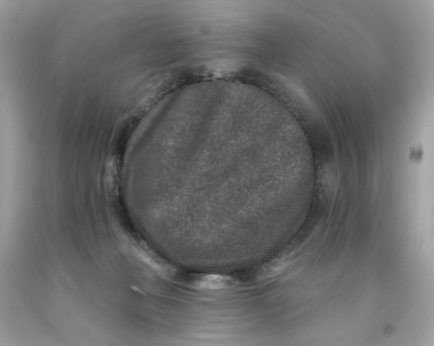 X0000091700222200709141106