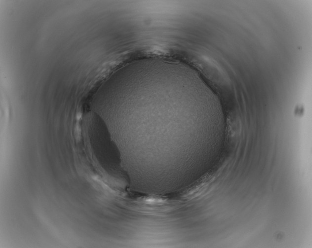 X0000091700223200709141106