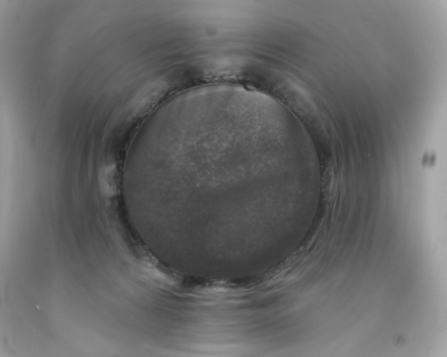 X0000091700224200709141106