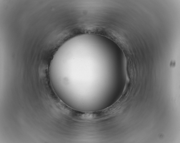 X0000091700225200709141106