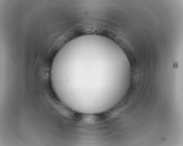 X0000091700226200709141106