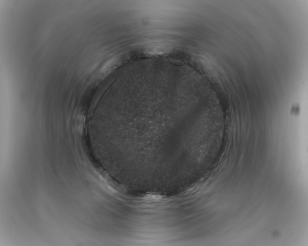 X0000091700227200709141106