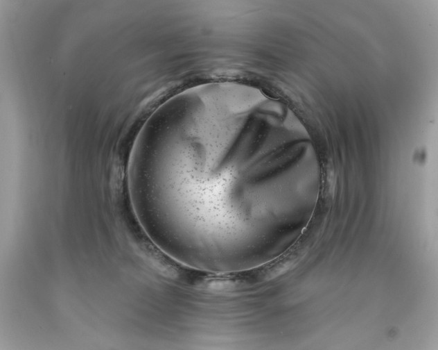 X0000091700228200709141106