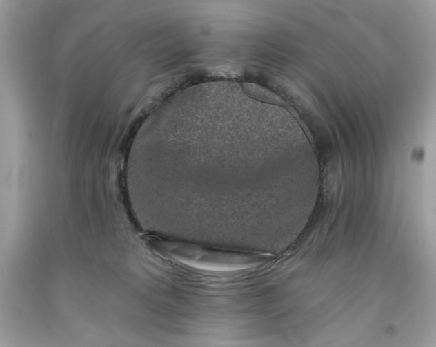 X0000091700229200709141106