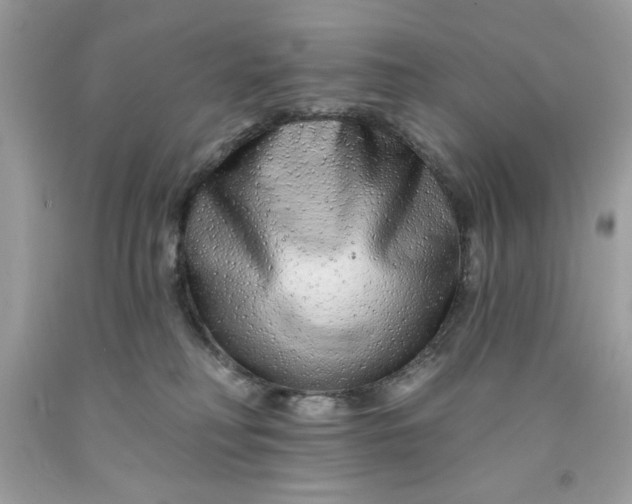 X0000091700230200709141106