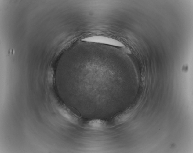 X0000091700231200709141106