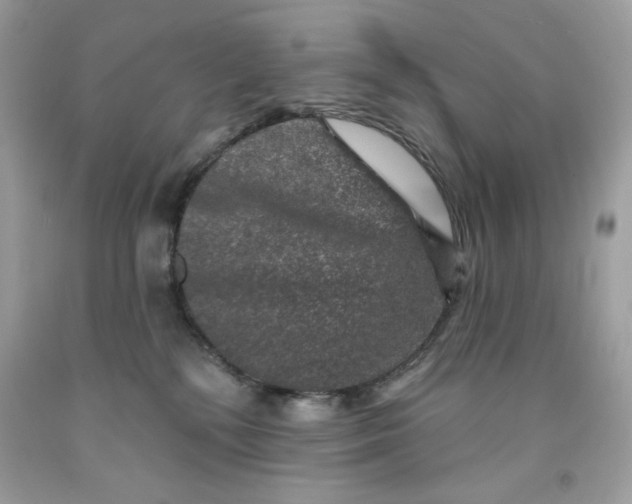 X0000091700232200709141106