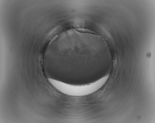 X0000091700233200709141106