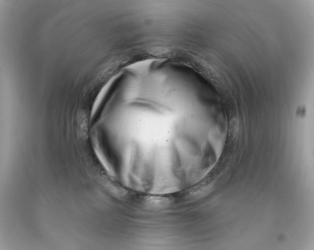 X0000091700234200709141105