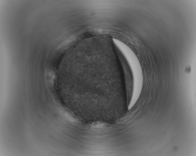 X0000091700235200709141105