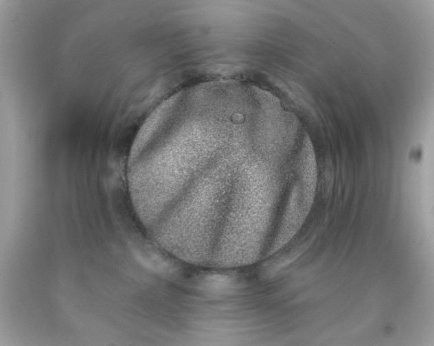 X0000091700236200709141105