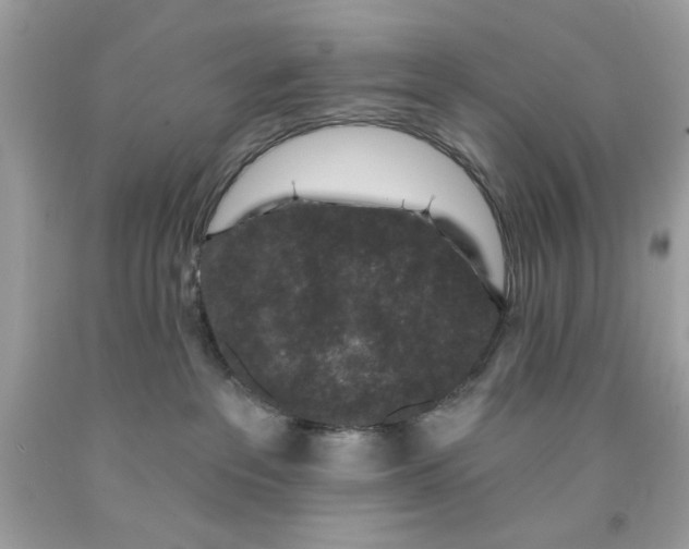 X0000091700237200709141105