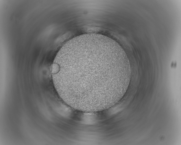 X0000091700240200709141105