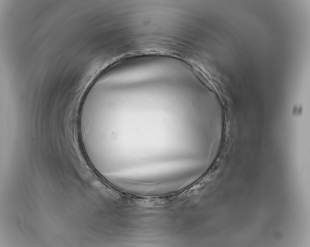 X0000091700241200709141105