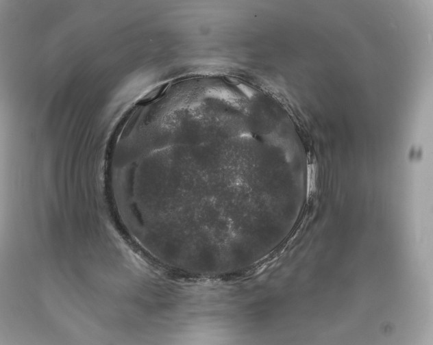 X0000091700243200709141105