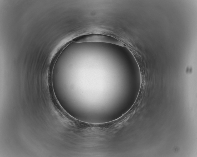 X0000091700244200709141105