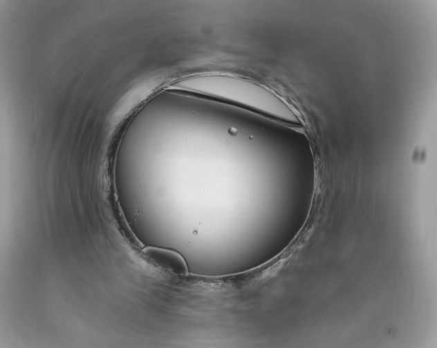 X0000091700245200709141105