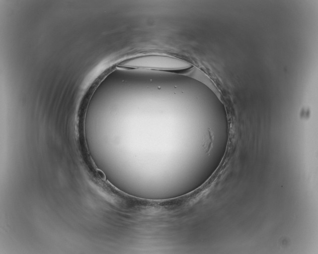 X0000091700246200709141105