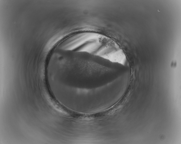 X0000091700247200709141105