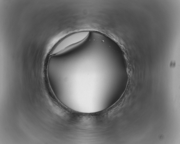 X0000091700248200709141105