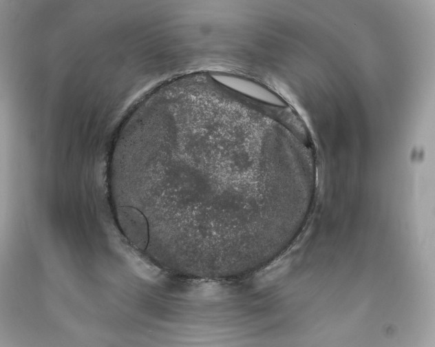 X0000091700249200709141105