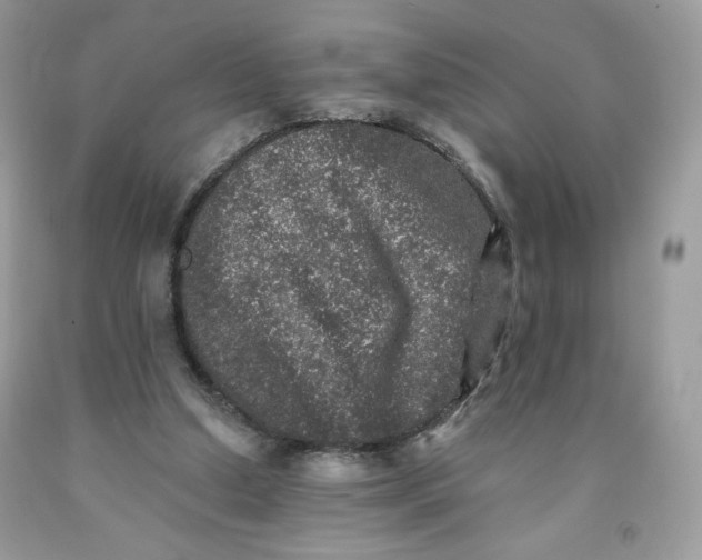 X0000091700250200709141105