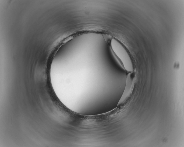 X0000091700252200709141105