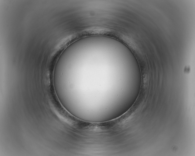 X0000091700254200709141105