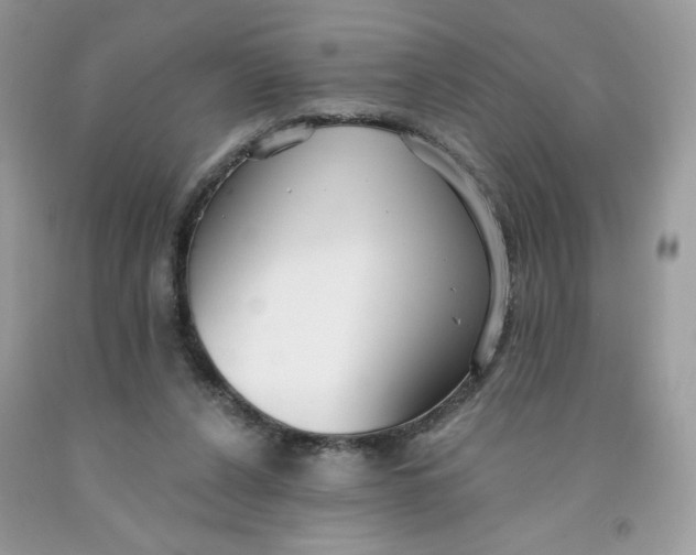 X0000091700256200709141105