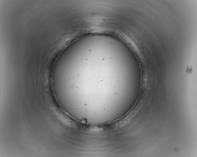 X0000091700257200709141105